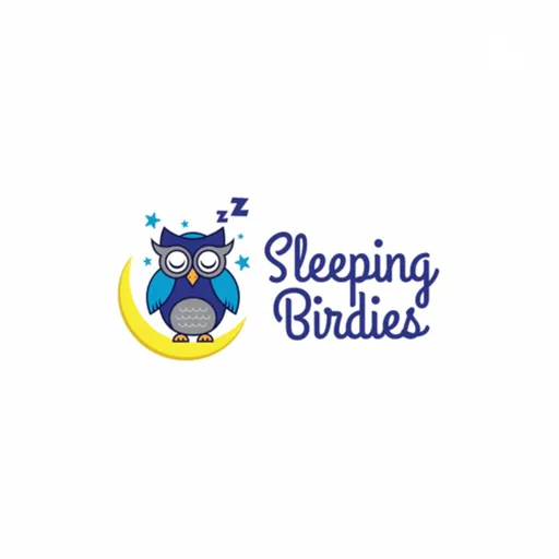 Sleeping Birdies Artwork