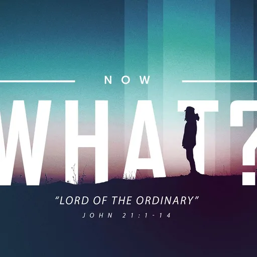 Episode Artwork