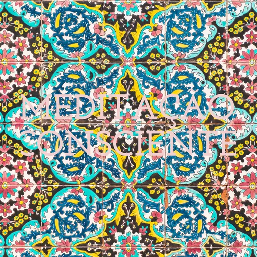 MEDITAÇÃO CONSCIENTE Artwork