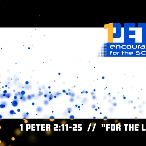 Episode Artwork