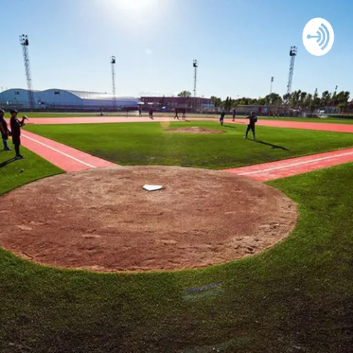 Beisbol Venezuela street Artwork