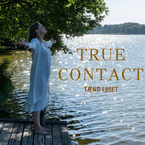 True Contact Tænd lyset Artwork