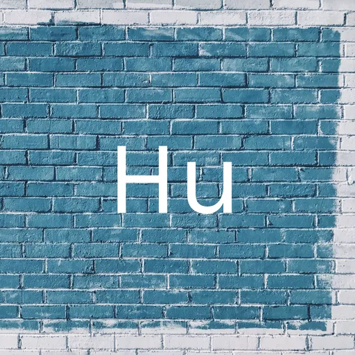 Hu Artwork