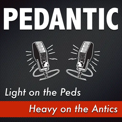 Pedantic Artwork