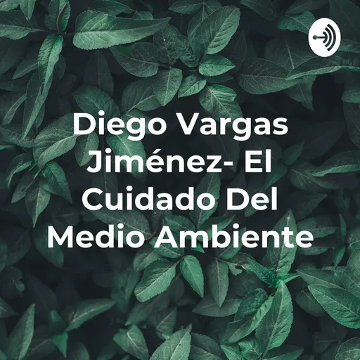 Diego Vargas Jiménez- El Cuidado Del Medio Ambiente Artwork