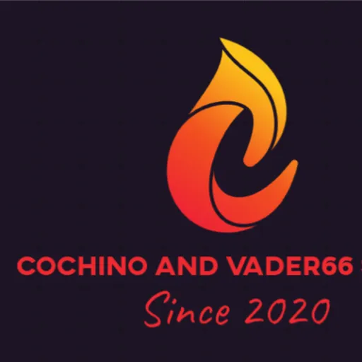 The Cochino Vader66 show Artwork