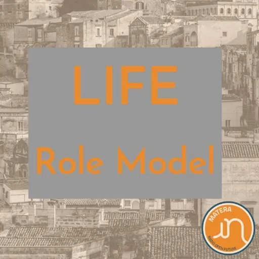 LIFE - Role model Artwork