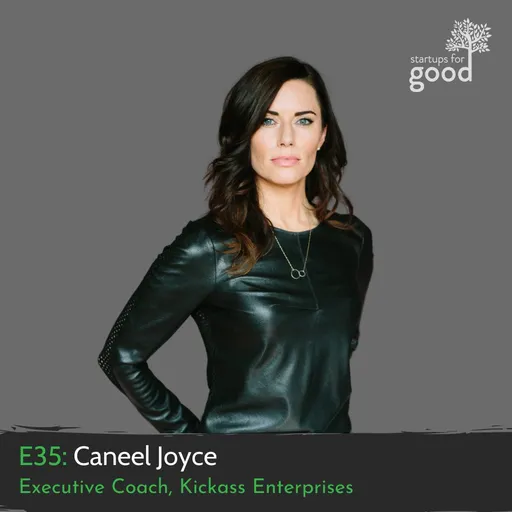 Episode Artwork