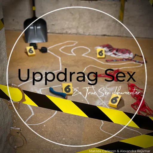 Uppdrag Sex Artwork
