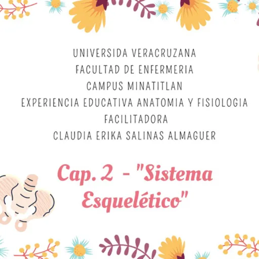 Sistema Esquelético Artwork