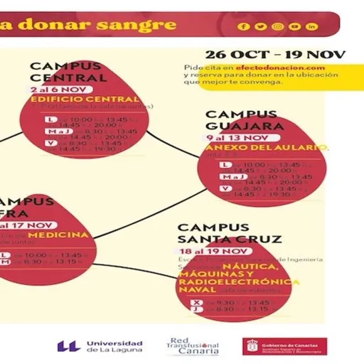 Campaña de otoño de 2020 de donación de sangre en la Universidad de La Laguna - Entrevista a María Elsa Brito Cruz Artwork