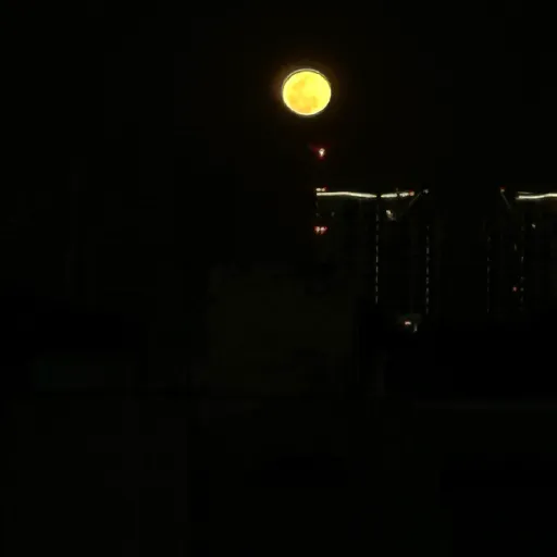 Episode Artwork