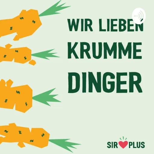 SIRPLUS Talk – Nachhaltige Interviews Artwork