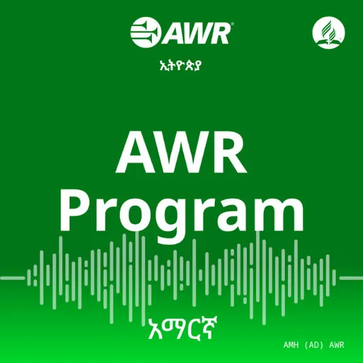 AWR Amharic / አማርኛ / amarəñña Artwork