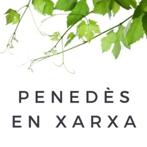 Penedès en Xarxa Artwork
