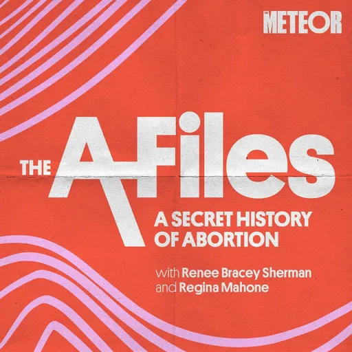 The A Files: A Secret History of Abortion Artwork