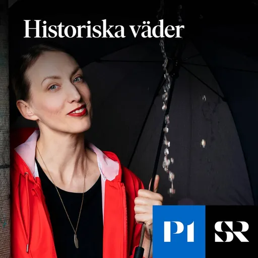 Historiska väder Artwork