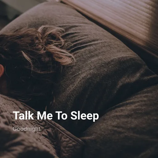 Talk Me To Sleep Artwork