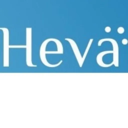 Fale com Heva Artwork