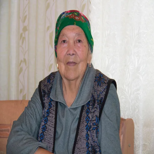 Kalmyk Cultural Heritage Project (ZUL) Artwork