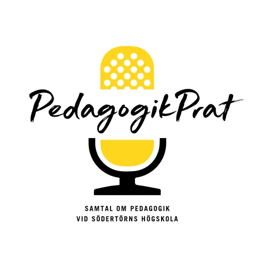 PedagogikPrat Artwork