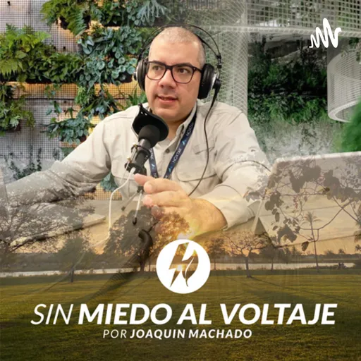 SIN MIEDO AL VOLTAJE - Joaquin Machado Artwork