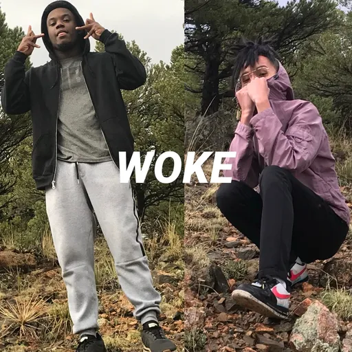 WOKE Artwork