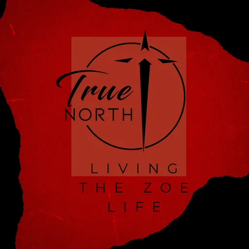 Living The Zoe Life Artwork