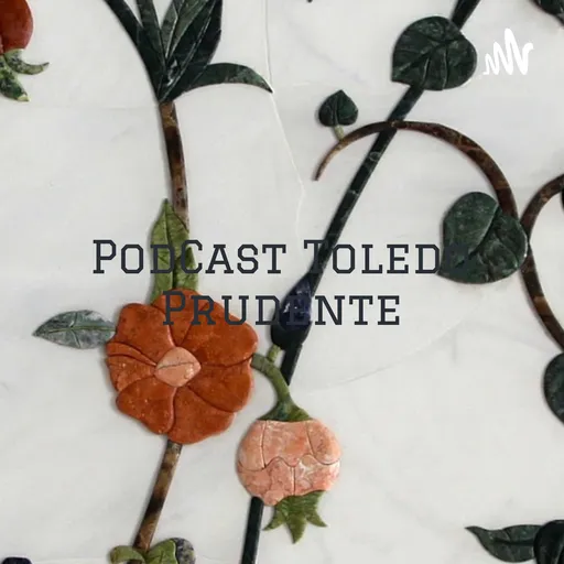 PodCast Toledo Prudente - A otimização dos serviços através da evolução tecnológica Artwork