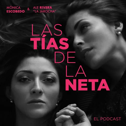 Las tías de la neta Artwork