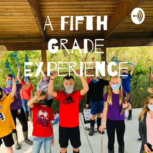 A Fifth Grade Experience Artwork