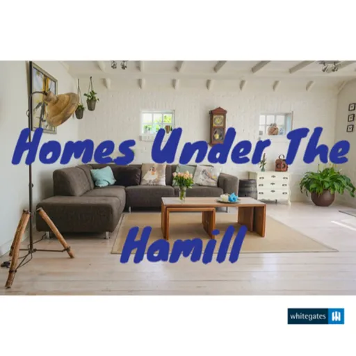 Homes Under The Hamill Artwork