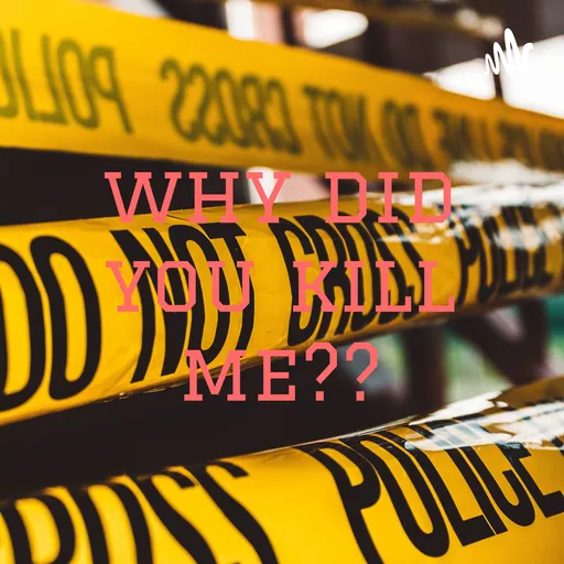 why did you kill me?? Artwork