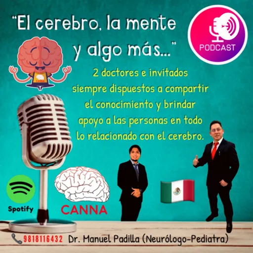El cerebro, la mente y algo más... Artwork
