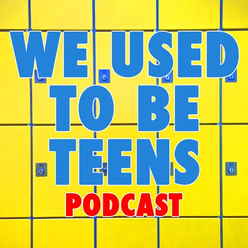 We Used To Be Teens Artwork