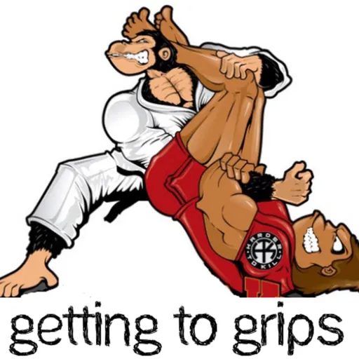 Getting to Grips MMA and BJJ Artwork