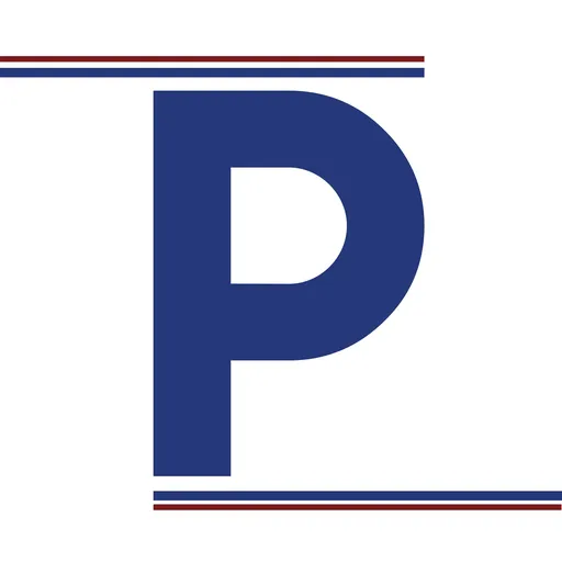 PALITICUS Artwork