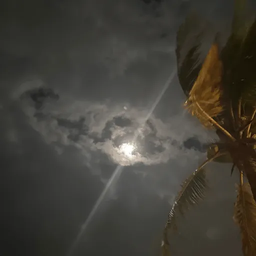 Episode Artwork
