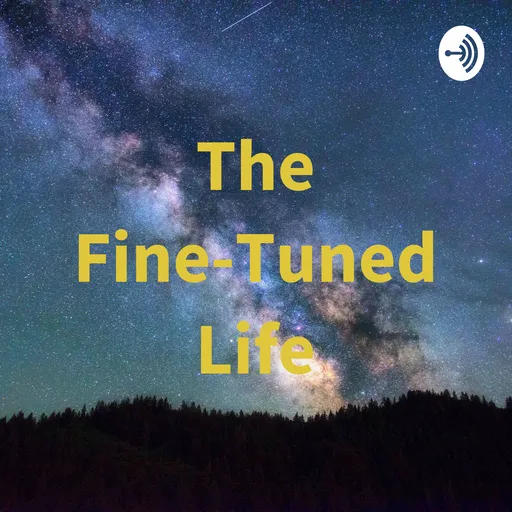 The Fine-Tuned Life Artwork