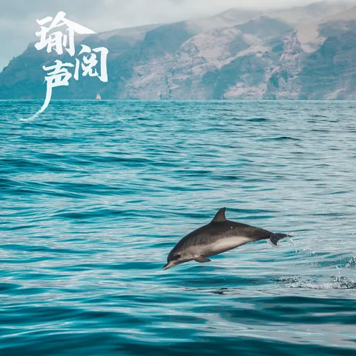 瑜阅声 Artwork