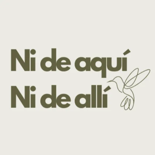 Ni de aquí ni de allí Artwork