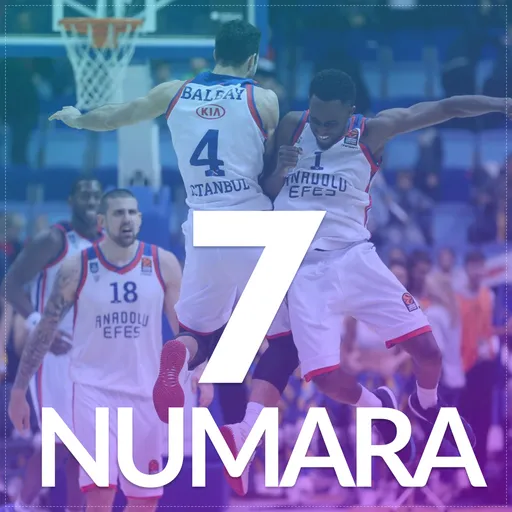 7 Numara Artwork