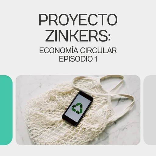 Proyecto Zinkers Artwork