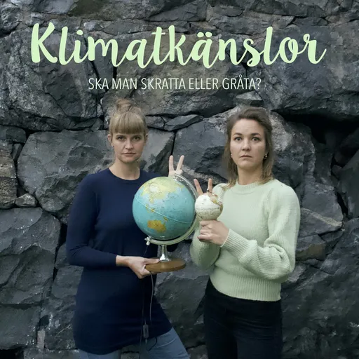 Klimatkänslor Artwork