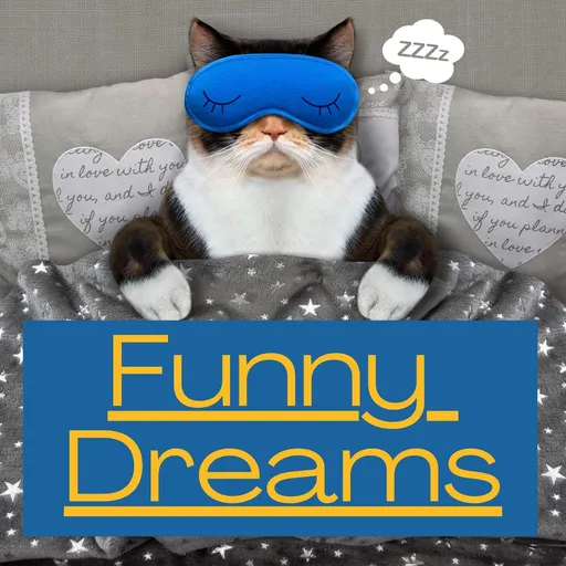Funny Dreams Artwork