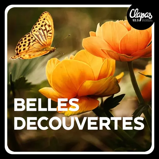 Belles Découvertes Artwork