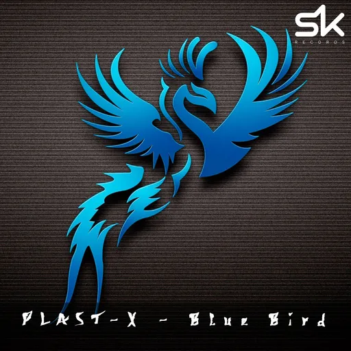Episode Artwork