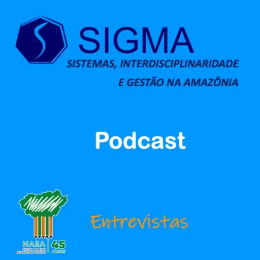Projeto Sigma Artwork
