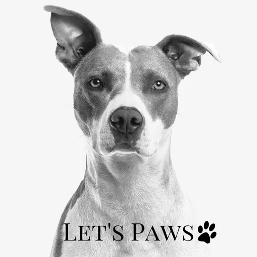 Let's Paws Artwork