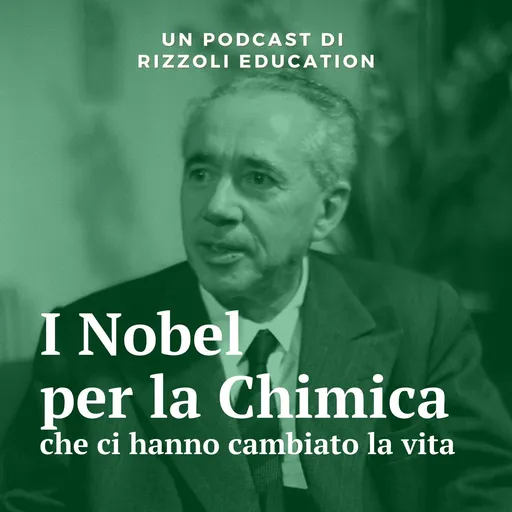 I Nobel per la Chimica Artwork